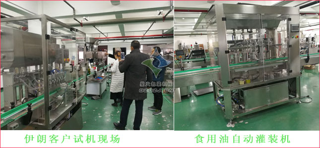 5����ʳ���͹��b���a��,�����͹��b���a��,���͹��b���a��