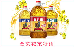 ��˻�������