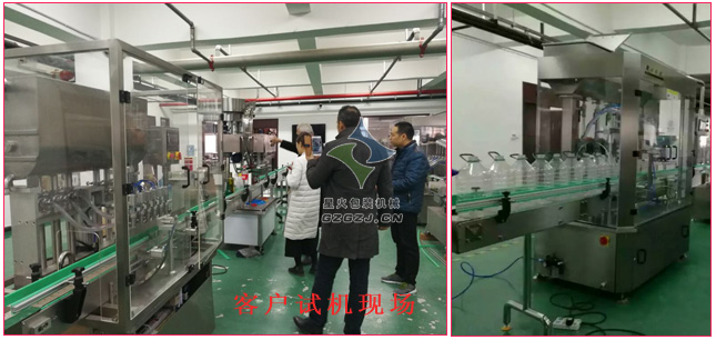 食用豬油灌裝機,酥油全自動灌裝機